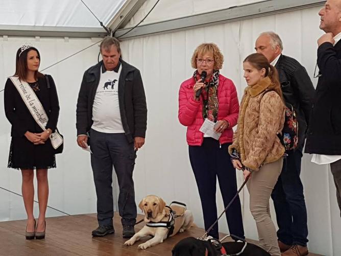 Dernier versement pur chien 6 et premier versement chien 7